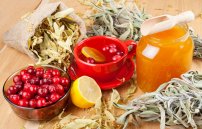 Рецепты народной медицины от кашля: лучшие средства лечения