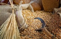 Овес на молоке от кашля: рецепт и отзывы о лечении