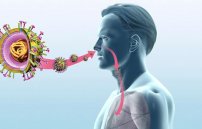 Как долго заразен больной гриппом: сколько дней можно заразиться человеку