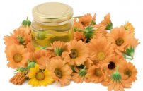 Календула для полоскания горла: как можно разводить настойку