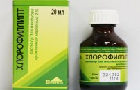 Настойка эвкалипта для полоскания горла при ангине: как полоскать