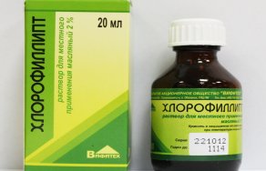Настойка эвкалипта для полоскания горла при ангине: как полоскать