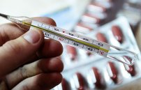 Отличие гриппа от свиного гриппа: чем отличаются симптомы